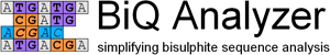 BiQ Analyzer Logo
